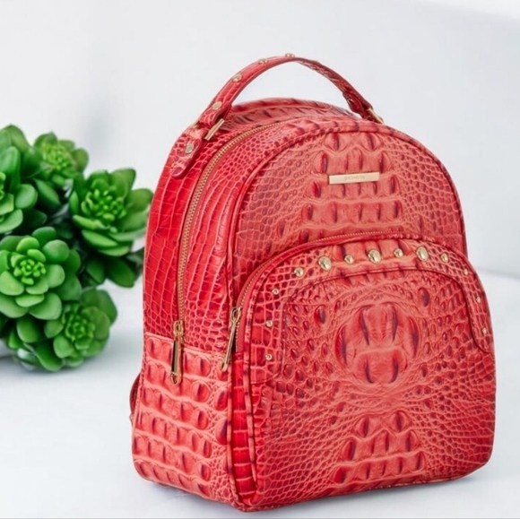 ??️ BRAHMIN  ?️Chelcy cayenne taos Melbourne Genuine  Leather backpack main image 9